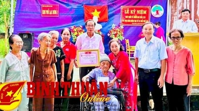 Hội Người cao tuổi Việt Nam - 30 năm xây dựng và phát triển