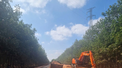 Review and effectively manage public investment projects during the period of administrative unit reorganization in Gia Lai.