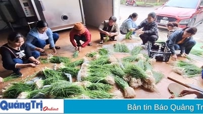 ทรัพยากรใหม่ในการสร้างพรรคที่เข้มแข็ง