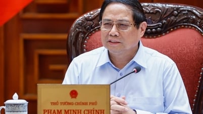 Thủ tướng: Trình Quốc hội cơ chế, chính sách đặc thù phát triển kinh tế tư nhân ngay tại Kỳ họp thứ 9
