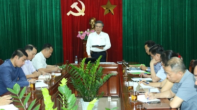 បញ្ចប់ជាបន្ទាន់នូវគម្រោងសាងសង់តំបន់ពាណិជ្ជកម្មសេរីនៅដុងណៃ