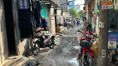 TPHCM hỗ trợ người thuê, người cho thuê nhà ở riêng lẻ