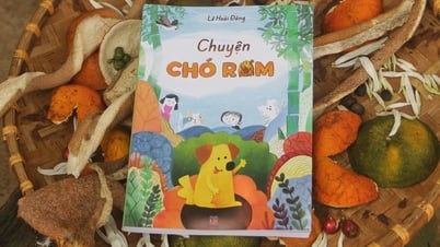 Đọc để hiểu và thương