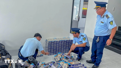 TP Hồ Chí Minh: Hải quan ngăn chặn vụ buôn lậu hơn 253.000 bao thuốc lá