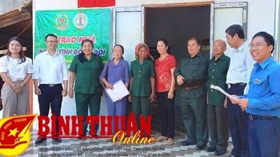 Những ngôi nhà nghĩa tình