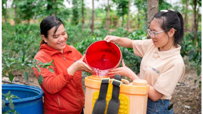 Tây Nguyên xanh lên nhờ phụ nữ làm nông bền vững