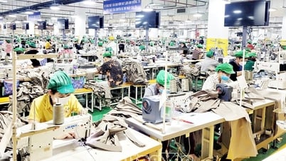 Total domestic revenue reached over 20 trillion VND