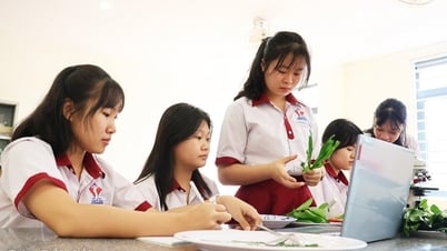 Khai phá giá trị vùng miền