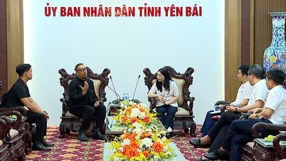 Phó Chủ tịch UBND tỉnh Vũ Thị Hiền Hạnh tiếp đoàn công tác của Hiệp hội Nhật Bản