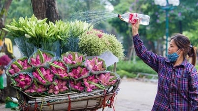 «ឯង​ស៊ី​ផ្កា​ឈូក​ច្រើន!»