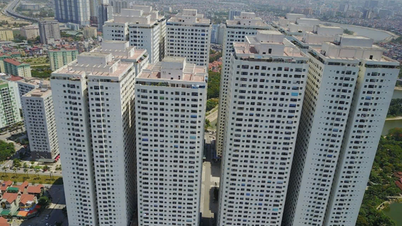 Trước thềm đại hội, con gái Chủ tịch Hoàng Quân đăng ký mua 25 triệu cổ phiếu