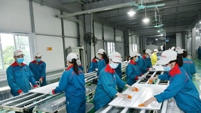 Đưa kinh tế tư nhân thành động lực quan trọng nhất của nền kinh tế