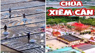 Bảo tồn di sản văn hóa​ trên không gian số