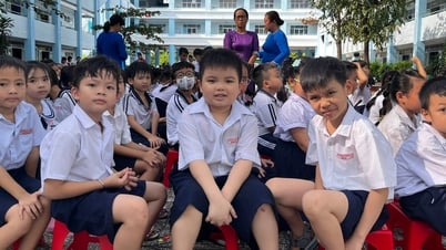 Tuyển sinh vào lớp 1, lớp 6 tăng cường tiếng Anh cần những điều kiện gì?