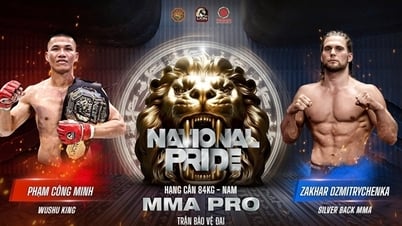 ការប្រកួតរវាង Zakhar Dmitrychenka និង Pham Cong Minh៖ ឱកាសសម្រាប់ MMA វៀតណាម?