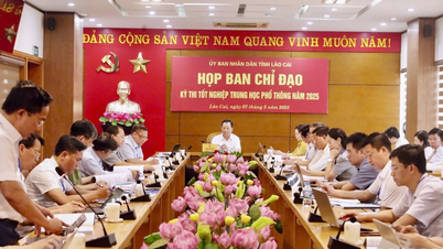 Họp Ban chỉ đạo kỳ thi tốt nghiệp THPT năm 2025 tỉnh