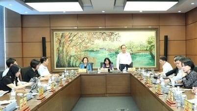 Los delegados de la Asamblea Nacional amplían la autoridad de los Comités Populares de las grandes ciudades