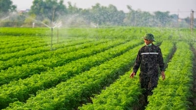 تتصدر مقاطعة كام جيانج عدد البلديات التي تلبي المعايير الريفية النموذجية الجديدة.