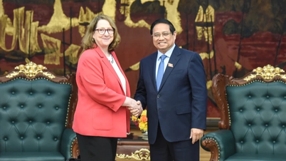 Vietnam always attaches importance to the Comprehensive Strategic Partnership with the United States.