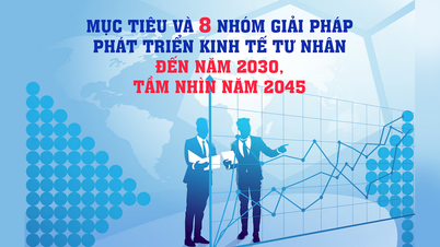 Mục tiêu và 8 nhóm giải pháp phát triển kinh tế tư nhân đến năm 2030, tầm nhìn năm 2045