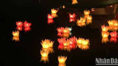 [Ảnh] Hoa đăng sáng lung linh mừng Đại lễ Vesak 2025
