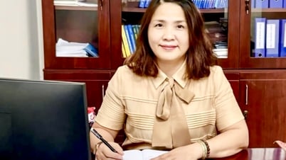 ជំរឿនជនបទ និងកសិកម្មនៅឆ្នាំ 2025៖ ឌីជីថលភាវូបនីយកម្មទូលំទូលាយ គ្របដណ្តប់ធំទូលាយ