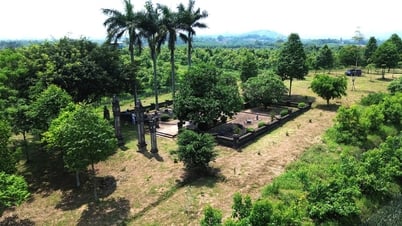 Close-up of King Le Tuc Tong's tomb