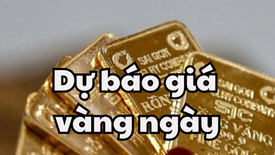 Tin tức, dự báo giá vàng ngày mai 8/5/2025 giá vàng trong nước tăng trở lại sau đợt điều chỉnh nhỏ