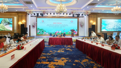Quảng bá, kết nối di sản văn hóa Hải Phòng - Vùng duyên hải Bắc Bộ và đồng bằng sông Hồng