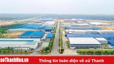 UBND tỉnh chấp thuận chủ trương đầu tư, nhà đầu tư Dự án Khu công nghiệp Thăng Long Thanh Hóa (giai đoạn 1)