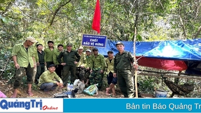 ការ​ជីក​យក​រ៉ែ​មាស​ខុស​ច្បាប់​នៅ​តំបន់​ភ្នំ Vinh Linh៖ «ចោរ​មាស» ត្រឡប់​មក​វិញ។