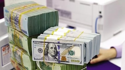 Le taux de change reste élevé malgré la baisse du dollar américain