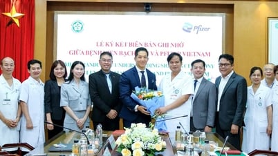 Pfizer Việt Nam và Bệnh viện Bạch Mai ký ghi nhớ hợp tác chăm sóc sức khỏe