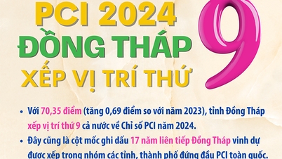 [Infographic] PCI 2024: Dong Thap ជាប់ចំណាត់ថ្នាក់ទី 9