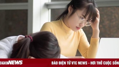 Cày đầu học để lấy bằng giỏi, nhiều sinh viên vỡ mộng không xin được việc 