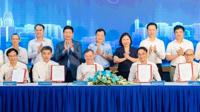 Five universities 'join hands' to develop human resources