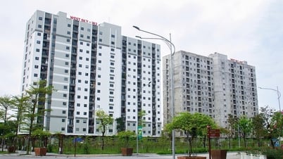 Social housing lottery