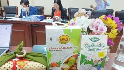 Năm 2025, Núi Thành phát triển mới 4 sản phẩm OCOP hạng 3 sao trở lên