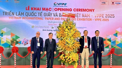 Thúc đẩy phát triển công nghệ xanh trong ngành giấy và bao bì