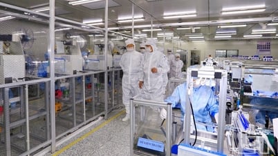 Budget revenue increased by 22.8% over the same period