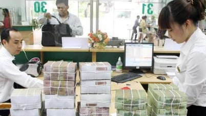 ضوابط جديدة لإصدار شهادات الإيداع المحلية من قبل المؤسسات الائتمانية