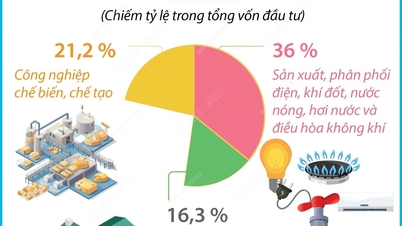 Đầu tư của Việt Nam ra nước ngoài gấp 3,1 lần so với cùng kỳ năm 2024