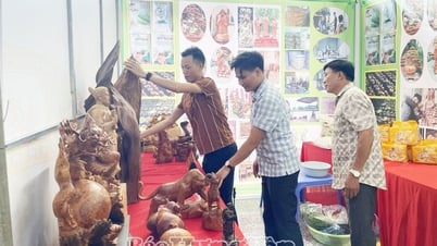 Đòn bẩy để hợp tác xã tiêu thụ sản phẩm