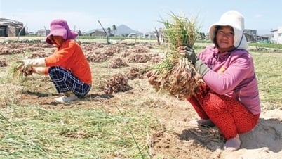 Thanh Hải: Nỗ lực hoàn thành các chỉ tiêu nghị quyết đại hội