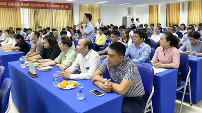 Cơ hội vươn xa, phát triển bền vững