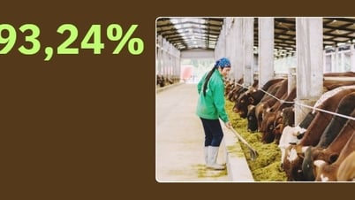 93.24% - 이는 해당 지방에서 수거 및 처리되는 가축 폐기물의 비율입니다.