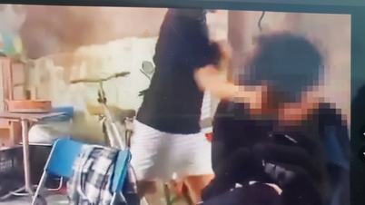 빈딘성: 8학년 학생 폭행 및 병원 입원 사례 확인