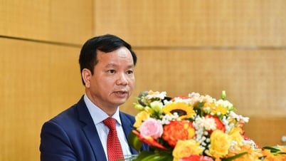 សាកលវិទ្យាល័យវិទ្យាសាស្ត្រ និងបច្ចេកវិទ្យាហាណូយ មានអនុប្រធានមួយរូបទៀត។