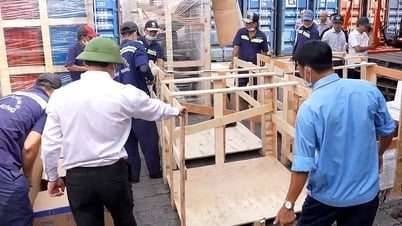 Phát hiện thuốc lá lậu gần 6 tỉ đồng trong lô hàng gạch lát nền, ghế sofa... tại cảng Cát Lái