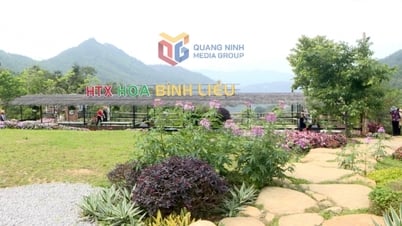 Bình Liêu: Sẵn sàng cao điểm du lịch hè